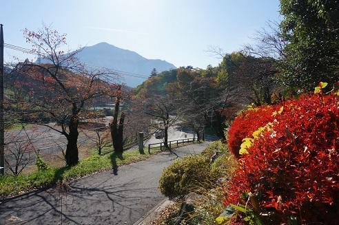 Guest House Nihon 1 Shuu 秩父市 外观 照片